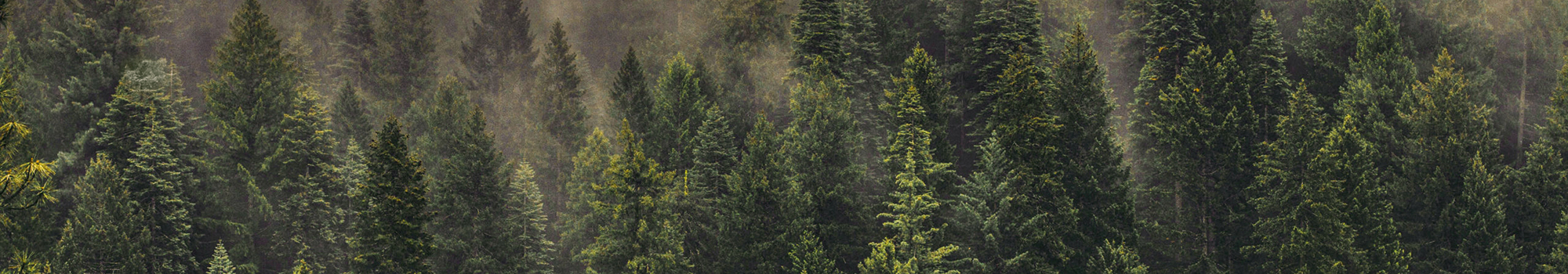 Banner bos