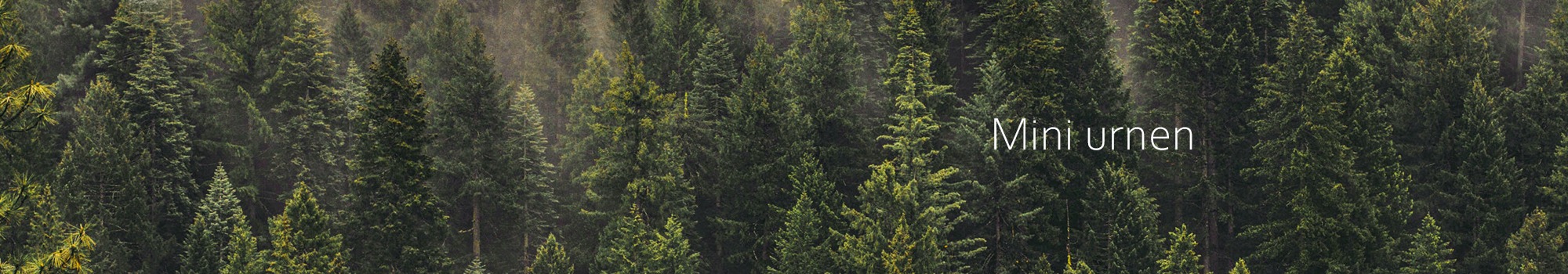 banner mini